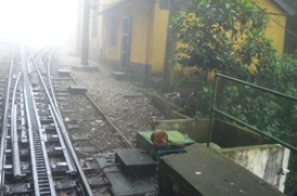 changement de rails