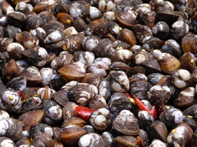 coquillages bien &eacute;pic&eacute;s que j'ai go&ucirc;t&eacute; !!