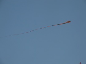 de nombreux cerfs volants dans le ciel de nombreux cerfs volants dans le ciel