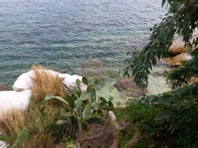 on peut admirer les couleurs de l'eau qui sont magnifiques !