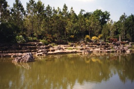 le jardin botanique