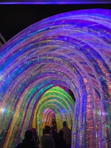 Duba&iuml; Light Festival sur le site de l'Expo