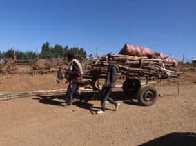 Arr&ecirc;t dans un village