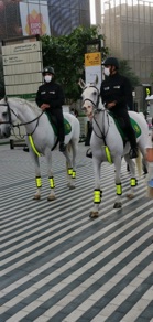 &agrave; cheval