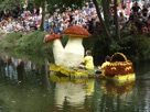 la cueillette des champignons