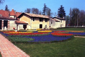 son massif fleuri et color&eacute; en forme de coquille saint Jacques
