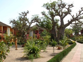 SENEGAL : Saly
Sale Princess