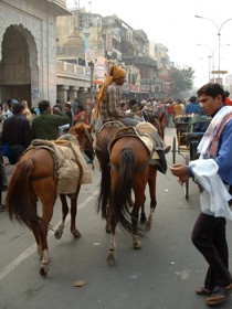 Promenade en rickshaw dans les ruelles de Delhi Promenade en rickshaw dans les ruelles de Delhi