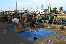 port de p&ecirc;che de PASURUAN