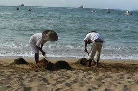 les employ&eacute;s de notre h&ocirc;tel au travail sur la plage