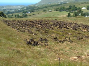 tourbière tourbière