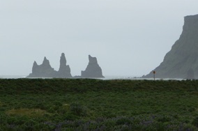 les reynisdrangar sont des pointes de 66 m de haut qui se détachent au large de VIK les reynisdrangar sont des pointes de 66 m de haut qui se détachent au large de VIK