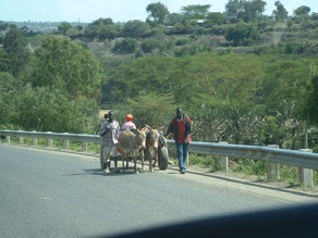 sur le bord de la route …. sur le bord de la route ….