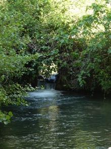 Source d'Eure, capt&eacute;e par les romains pour alimenter N&icirc;mes en eau potable