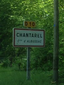"Chantarel"