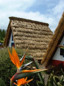 village de SANTANA qui a conserv&eacute; des maisons &agrave; toit de chaume