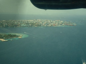 au loin MAL&Eacute;