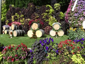 le coin vigneron !