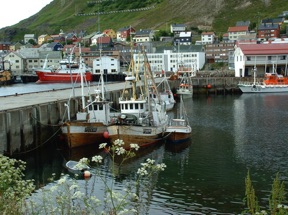 et son joli port