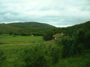 et toujours de la verdure
