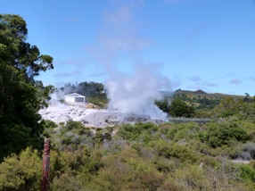 le geyser P&ouml;hutu qui jaillit jusqu'&agrave; 20 fois par jour et projette des gerbes d'eau chaude jusqu'&agrave; 30 m de haut