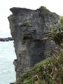 PUNAKAIKI - Dolomite Point : les pancakes rocks