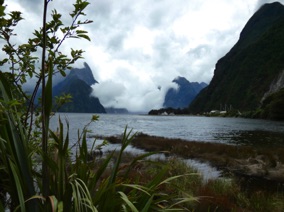 Arriv&eacute;e au port de Milford Sound