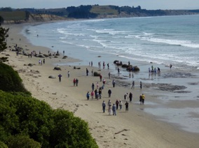 MOERAKI Boulders face au village