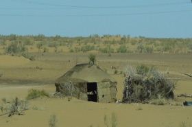 yourte habit&eacute;e