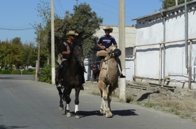 &agrave; dos de cheval ou &agrave; dos de dromadaire, au choix !!!!