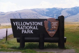 YELLOWSTONE