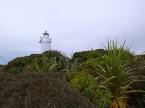 Phare de Cape Foulwind (9m)
NOUVELLE ZELANDE