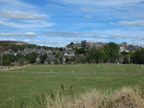 SALERS
Cantal SALERS
Cantal