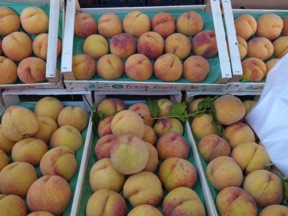 fruits frais fruits frais