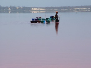 qui produit du sel