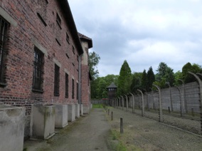 POLOGNE : Auschwitz
(1979) POLOGNE : Auschwitz
(1979)