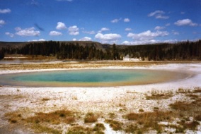 USA : Yellowstone
(1978) USA : Yellowstone
(1978)