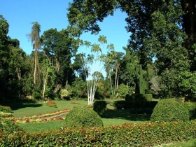le jardin botanique royal réputé pour sa collection d'orchidées et d'herbes aromatiques le jardin botanique royal réputé pour sa collection d'orchidées et d'herbes aromatiques