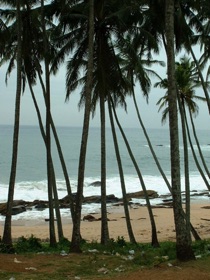 la plage la plage