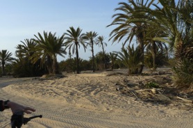 en quad