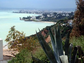 TUNIS au loin TUNIS au loin