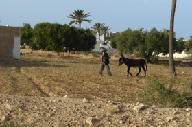 un agriculteur et son âne un agriculteur et son âne