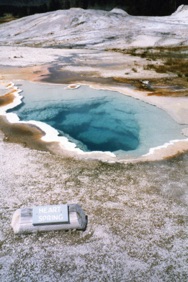 Heart Spring