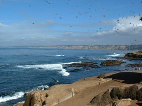 LA JOLLA LA JOLLA