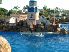et ses jeux aquatiques de mammifères marins et ses jeux aquatiques de mammifères marins