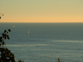 une baleine ! une baleine !