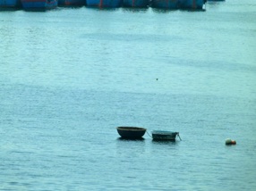 bateaux ronds propres &agrave; la r&eacute;gion
