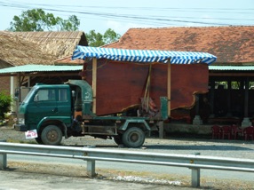 transport de bois,
