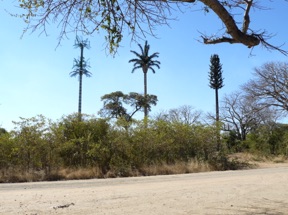 antennes relais de t&eacute;l&eacute;phone