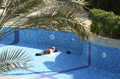 mais hélas la piscine est vide .. du moins il n'u a pas d'eau !!!